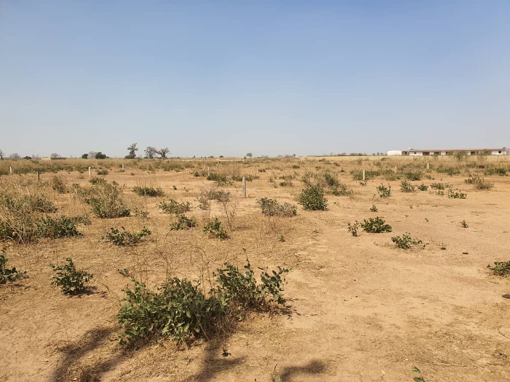 Terrains Vente terrains 5000m² Diamniadio au Sénégal CoinAfrique