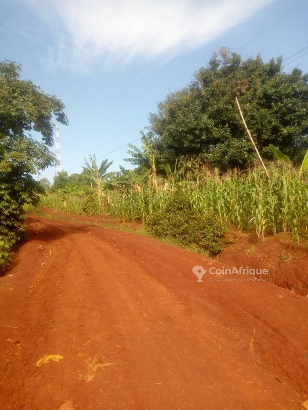 Terrains Vente Terrain 800 m² Bafoussam au Cameroun CoinAfrique