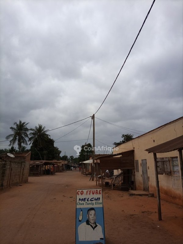 Terrains Vente Terrain Zanguéra au Togo CoinAfrique Togo