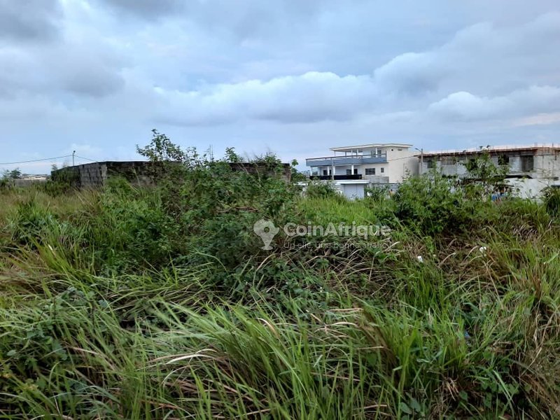 Terrains Vente Terrain 45ha Jacqueville en Côte d'Ivoire