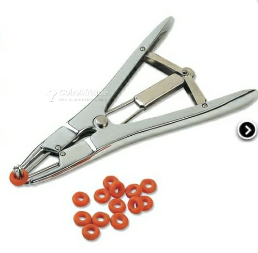 100 Anneaux De Caoutchouc Pour Castration Et écourtage Queue - Pour Bovins, Ovins, Porcs, élastiques Extensibles - 4
