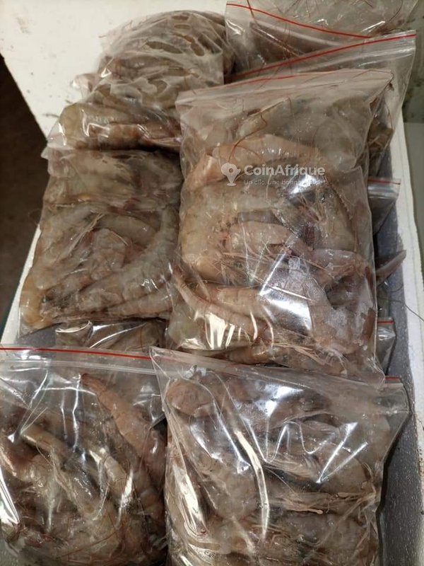 Alimentation Fruits de mer au Sénégal CoinAfrique Sénégal