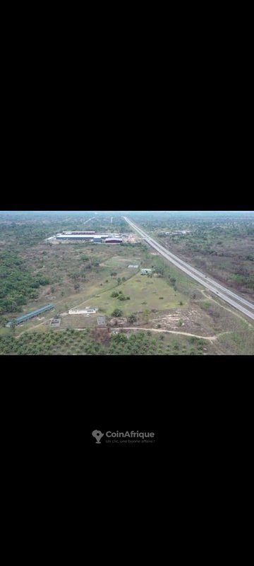 Parcelle 40 hectares + t.f. à toumodi , en bordure de l'autoroute — photo 2