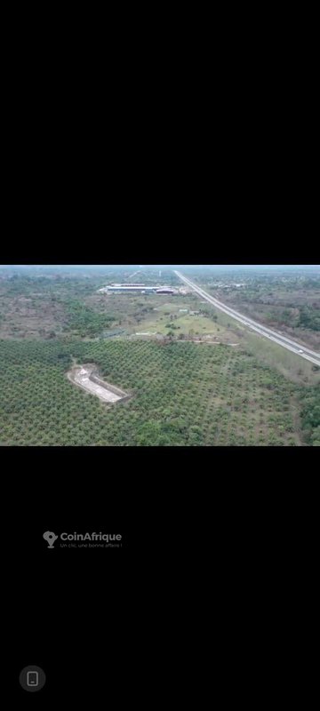 Parcelle 40 hectares + t.f. à toumodi , en bordure de l'autoroute — photo 4