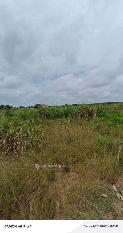 Terrains 400 m2 avec ACD global à Bingerville — photo 2