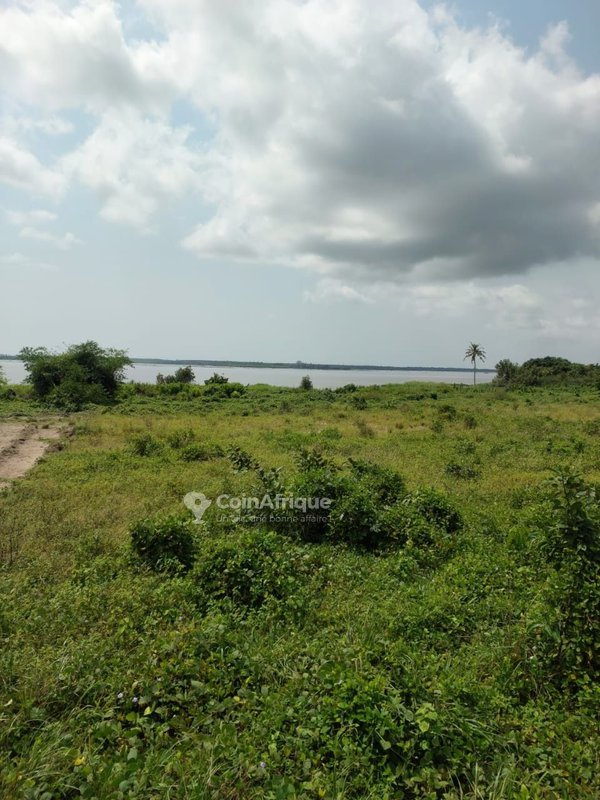 Terrains 400 m2 avec ACD global à Bingerville — photo 3