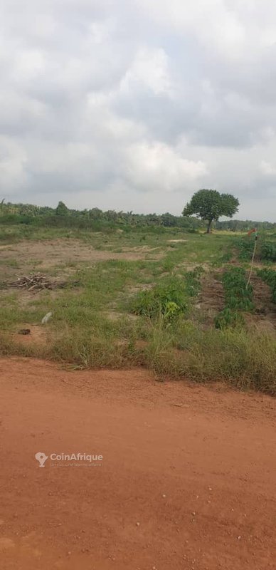 Terrain 400 m2 + ACD global à Jacqueville-tomatékro — photo 5
