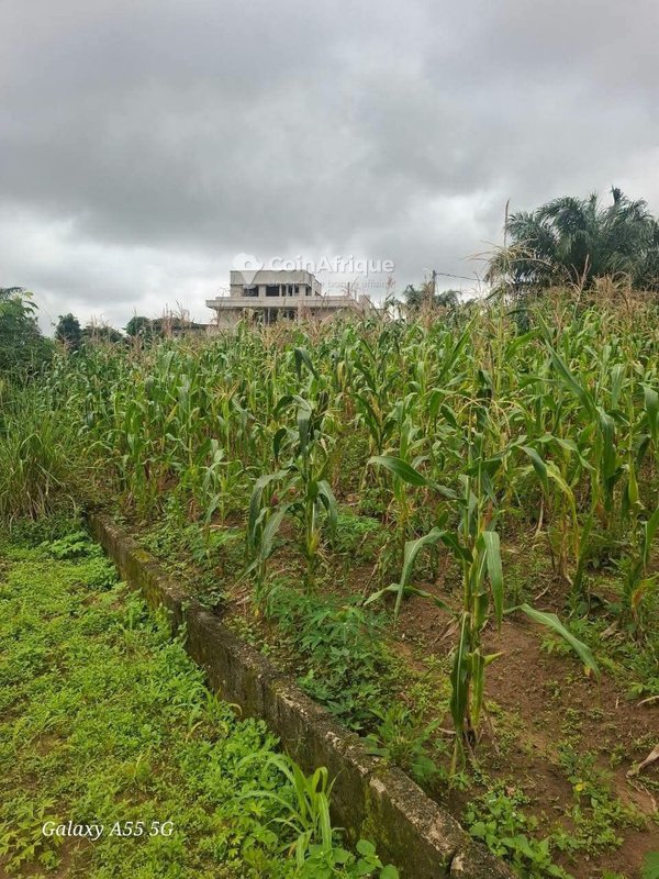 Terrain 400 m² - bingerville — photo 2
