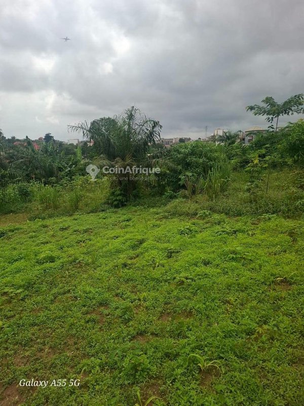 Terrain 400 m² - bingerville — photo 3