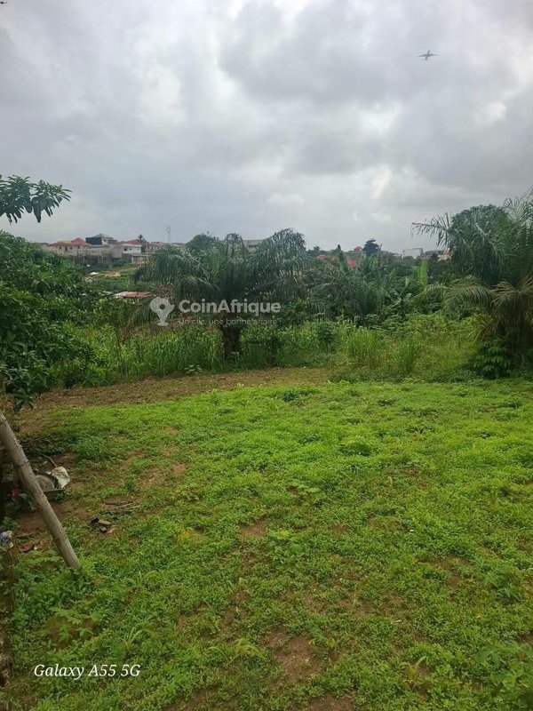 Terrain 400 m² - bingerville — photo 4