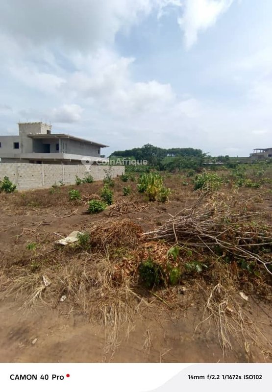 Terrain 733 m² ACD à Bingerville Anan résidentielle — photo 3
