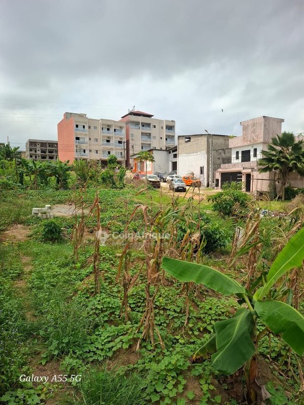 Terrains avec ACD à Bingerville — photo 2