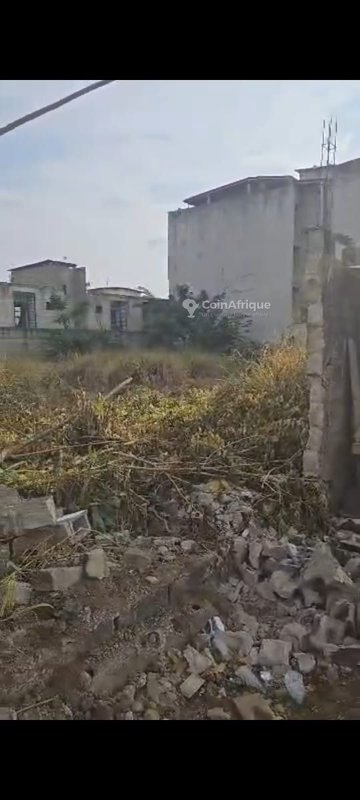 Terrain 600 m2 en bordure de bitume à Cocody-angré château — photo 2