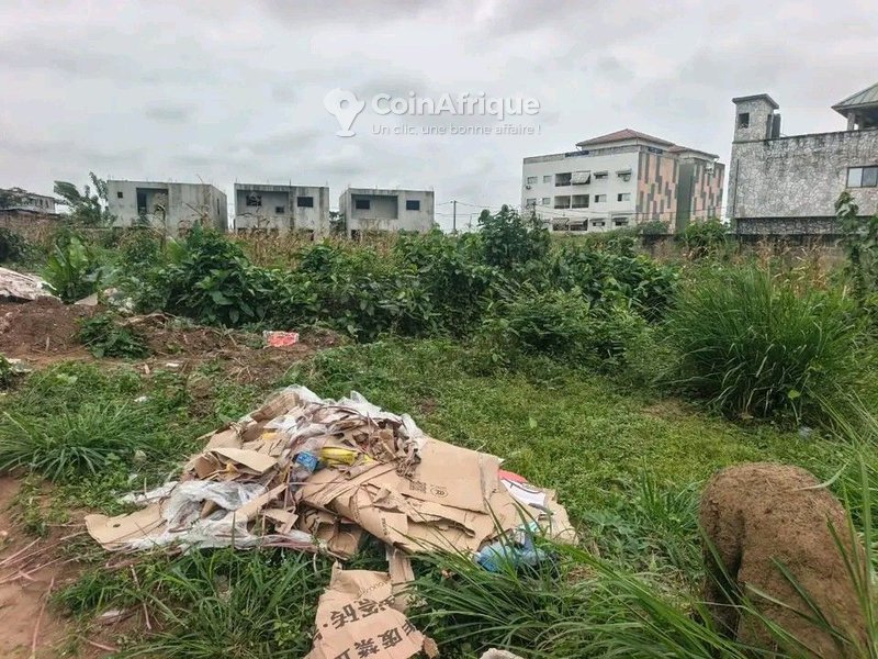 Terrain 600m² - bingerville — photo 3