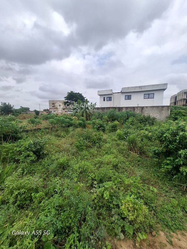 Terrain TF à Yamoussoukro — photo 2