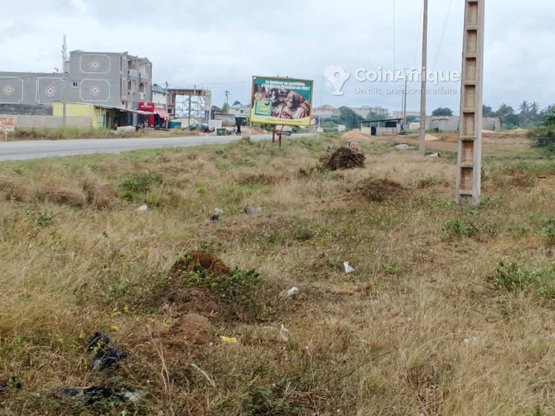 Terrains 500 m2 bordure voie principale yopougon songon - Cocody — photo 4