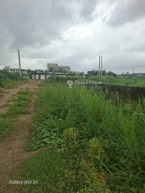 Terrains 400m² - Bingerville zone palais de justice — photo 2