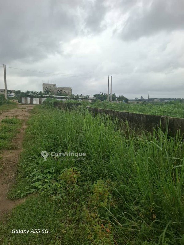 Terrains 400m² - Bingerville zone palais de justice — photo 3