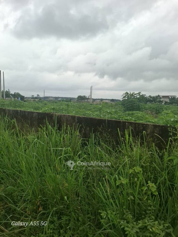 Terrains 400m² - Bingerville zone palais de justice — photo 4