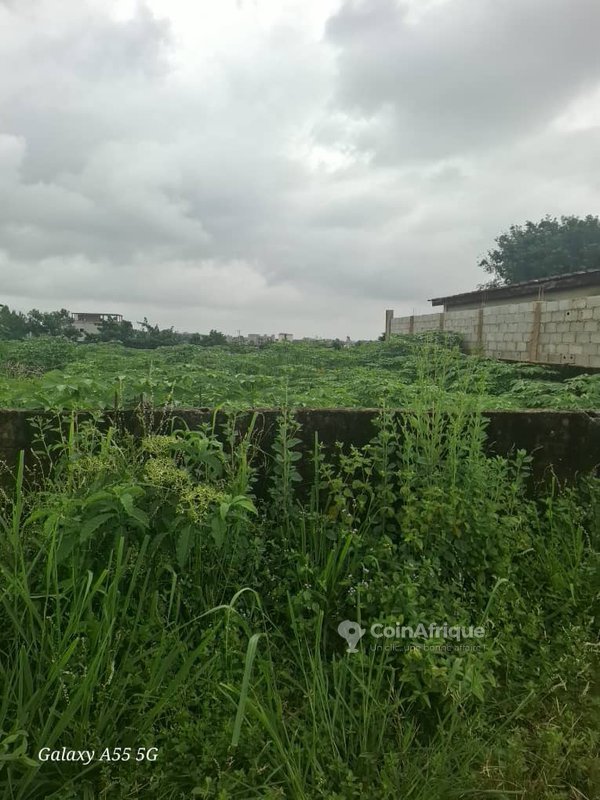 Terrains 400m² - Bingerville zone palais de justice — photo 5