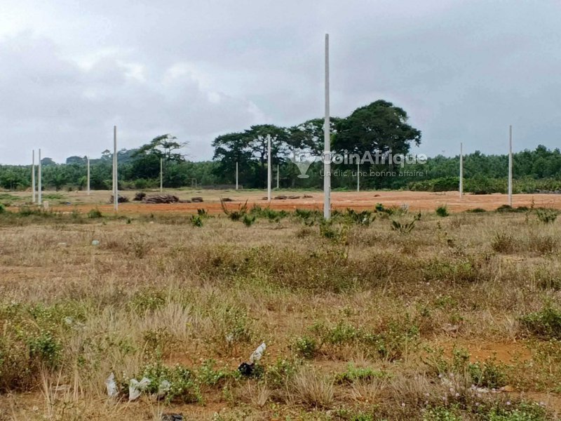 vente terrains 400 m2 avec acd tf - yopougon — photo 5