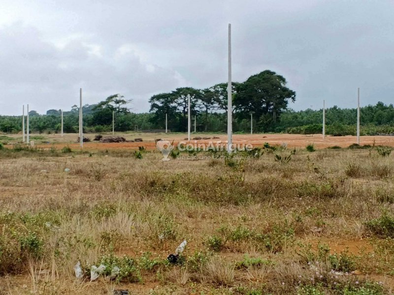 Terrains 400 m2 - Yopougon — photo 4
