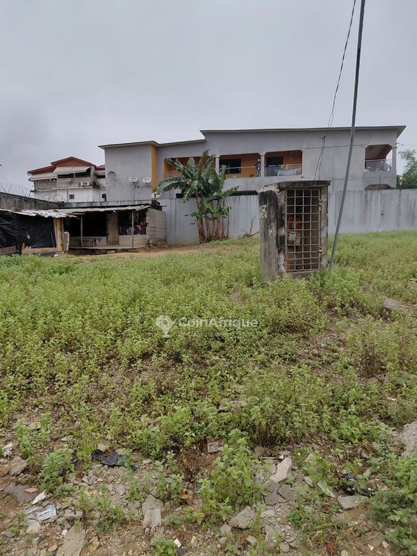 Terrain 600m2 - Abidjan — photo 3