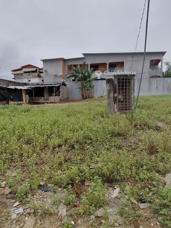 Terrain 600m2 - Abidjan — photo 5