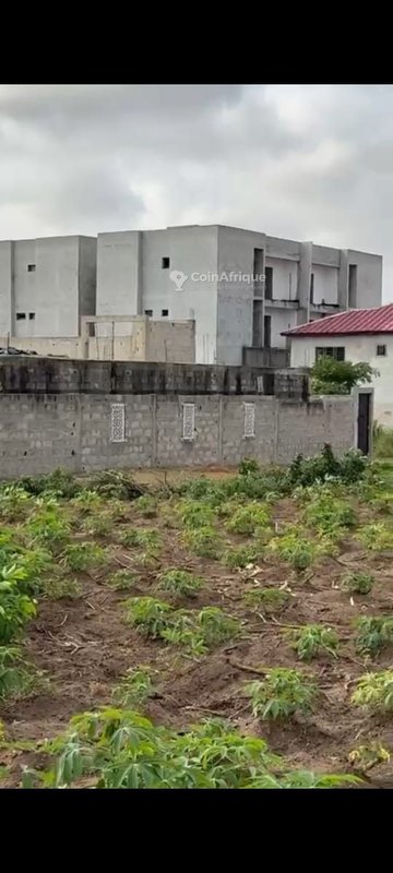 Terrain 1100 m² avec acd à bingerville-anan — photo 3