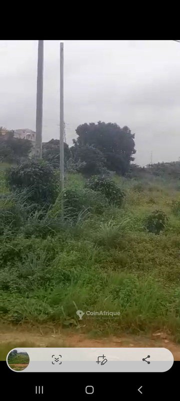 Terrain de 1600m² - Cocody — photo 4