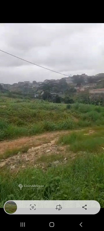Terrain de 1600m² - Cocody — photo 5
