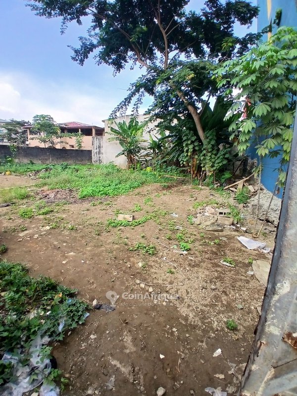 Terrain 600m2 - Angré — photo 3