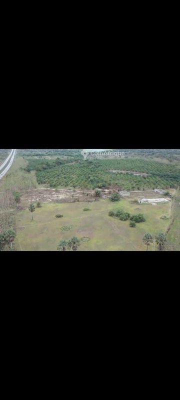 Parcelle 40 hectares avec t.f. en bordure de l'autoroute à Toumodi — photo 3