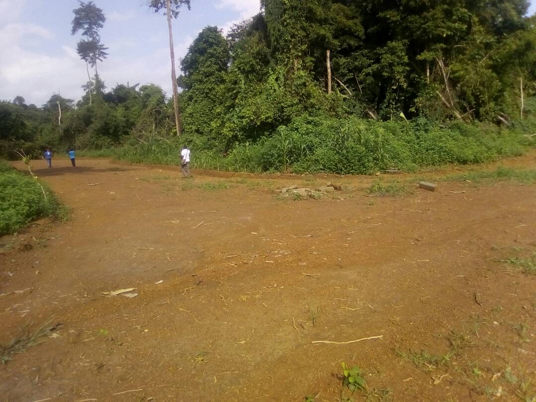 Terrains Vente terrains 500 m² Douala au Cameroun CoinAfrique Cameroun