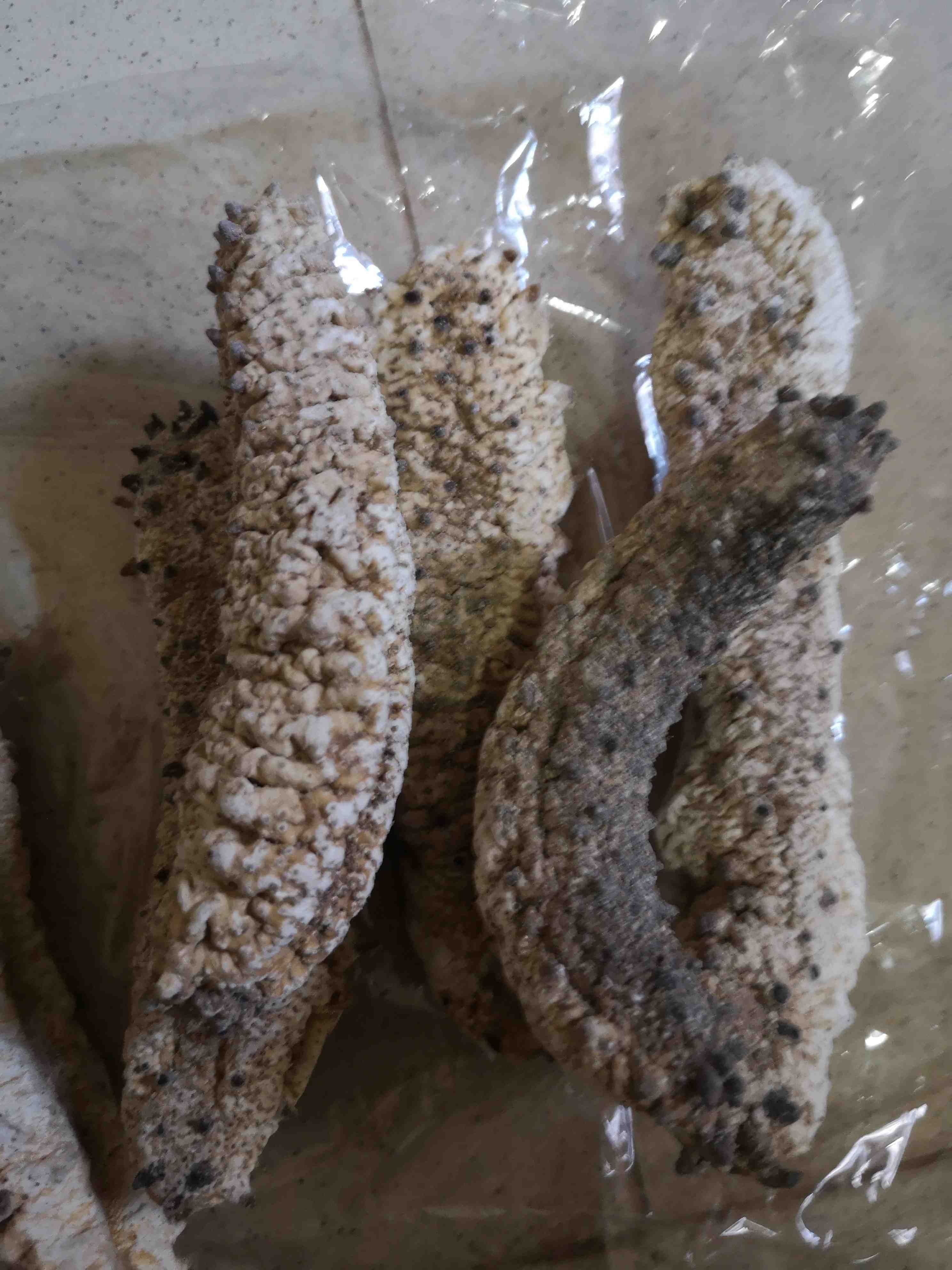 Alimentation de mer et tous fruits de mer au Sénégal