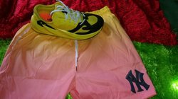 Baskets Shark - culotte new york