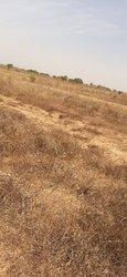 Vente Terrain 6 Hectares Mboro