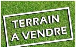 Vente terrain 1000 m2 - Onomo 