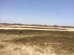 Vente Terrain 700m2  - Dakar