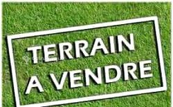 Vente terrain - Keur Massar