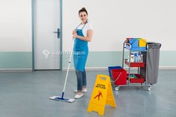 Service de nettoyage désinfection - désinsectisation