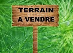 Vente Terrain 330 m² - Ouest foire