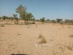 Vente terrain 25Ha - Sagalkame