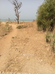 Vente Terrain 600m2 - Guereo