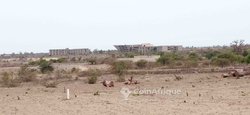 Vente Terrains 300 m² - Diamniadio