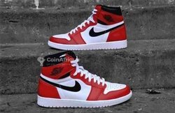 Chaussures  Air Dior