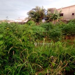 Terrain - Logbaba jardin 