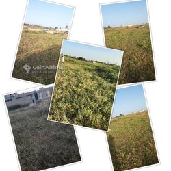 Terrains 150 m2 - Keur massar