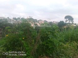 Terrain 1000 m² - Yaoundé 