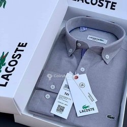 Chemise homme
